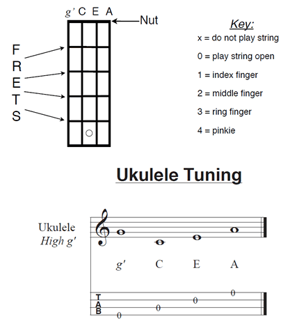 Gensidig fejre lodret The Musical Alphabet & Ukulele String Names | guitar-learning.com